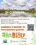 Escursioni gratuite nelle Paludi di Ostiglia con il Bioblitz 2023